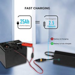 Renogy 24V 10A AC-to-DC LFP Portable Battery Charger AC To DC Battery Chargers Renogy