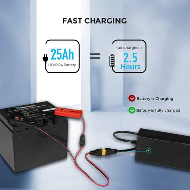Renogy 24V 10A AC-to-DC LFP Portable Battery Charger AC To DC Battery Chargers Renogy