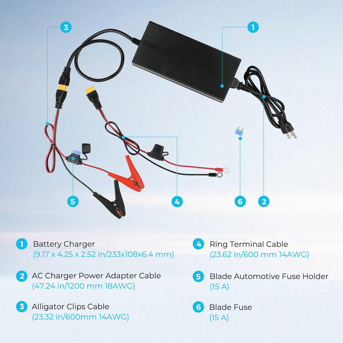 Renogy 24V 10A AC-to-DC LFP Portable Battery Charger AC To DC Battery Chargers Renogy