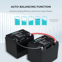 Renogy 24V 25Ah Lithium Iron Phosphate Battery Batteries Renogy