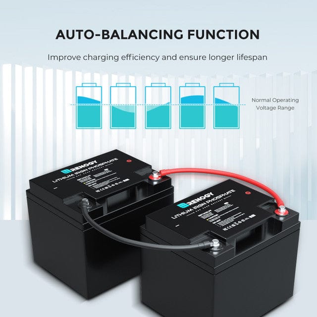 Renogy 24V 25Ah Lithium Iron Phosphate Battery Batteries Renogy