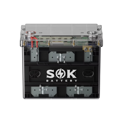 SOK Battery 12V100Ah LiFePO4 Battery Bluetooth, Clear Sealed Box