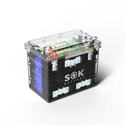 SOK Battery 12V100Ah LiFePO4 Battery Bluetooth, Clear Sealed Box