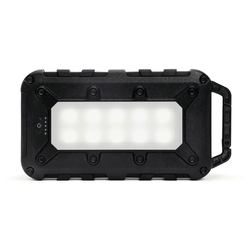 Lion Energy Lion Cub Power Bank Lion Energy