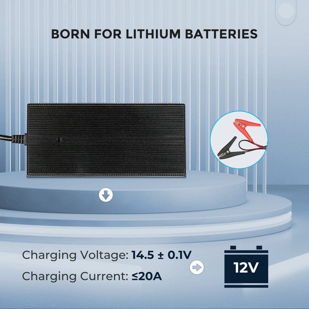 Renogy 12V 20A AC-to-DC LFP Portable Battery Charger AC To DC Battery Chargers Renogy