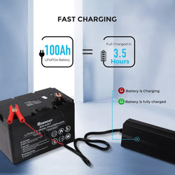 Renogy 12V 20A AC-to-DC LFP Portable Battery Charger AC To DC Battery Chargers Renogy