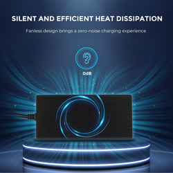 Renogy 12V 20A AC-to-DC LFP Portable Battery Charger AC To DC Battery Chargers Renogy