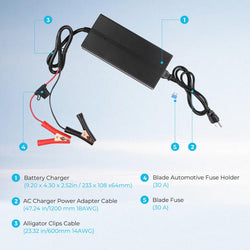 Renogy 12V 20A AC-to-DC LFP Portable Battery Charger AC To DC Battery Chargers Renogy