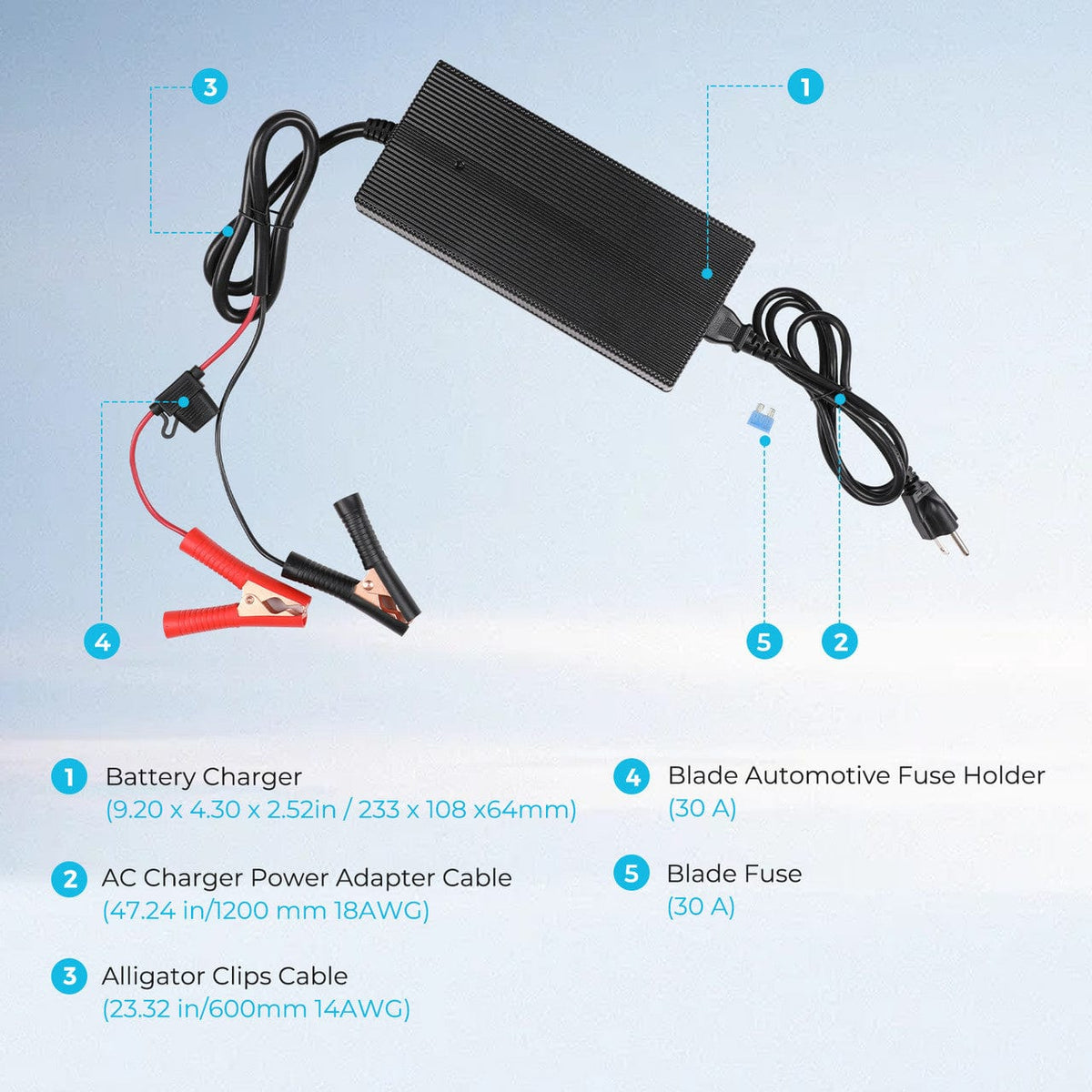 Renogy 12V 20A AC-to-DC LFP Portable Battery Charger AC To DC Battery Chargers Renogy