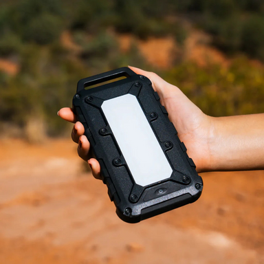 Lion Energy Lion Cub Power Bank Lion Energy