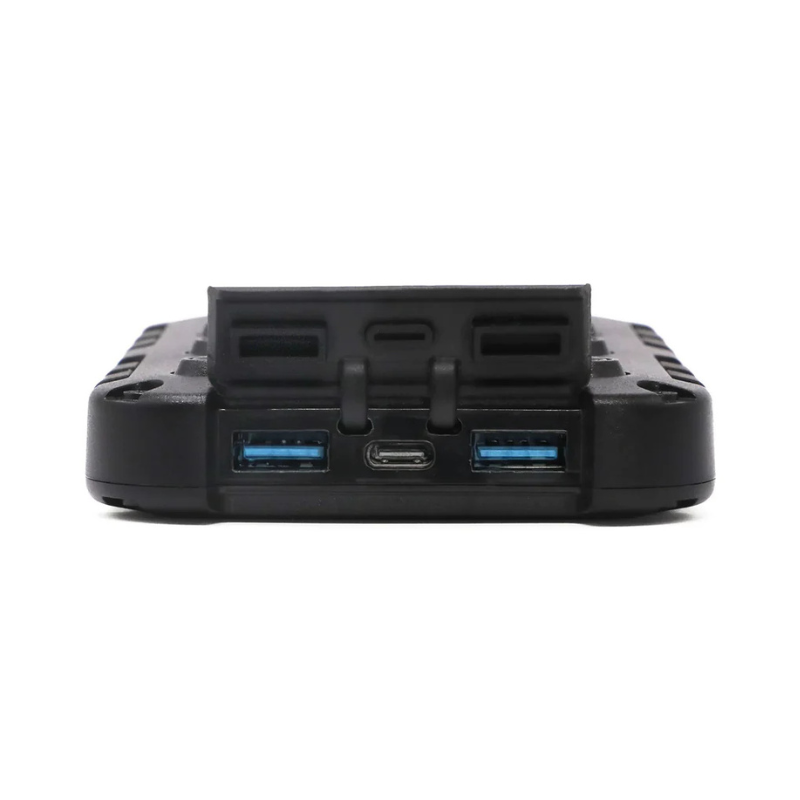 Lion Energy Lion Cub Power Bank Lion Energy