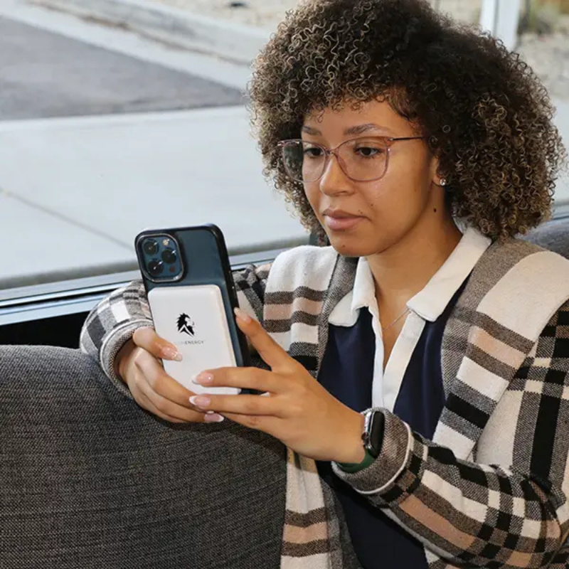 Lion Energy Lion Claw Power Bank Lion Energy