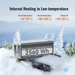 RICH SOLAR ALPHA 2 - 12V 200Ah LiFePO4 Battery, 5,000 Cycles, Bluetooth & Internal Heat Technology Batteries RICH SOLAR