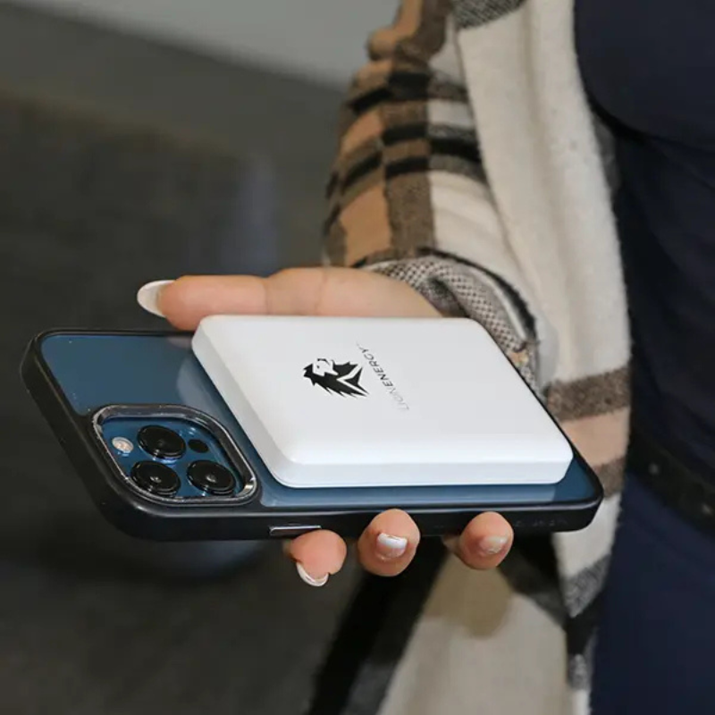 Lion Energy Lion Claw Power Bank Lion Energy