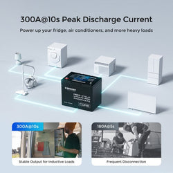 Renogy 12V 100Ah Core Series Deep Cycle Lithium Iron Phosphate Battery Batteries Renogy