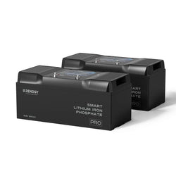 Renogy 12V 200Ah Pro Smart Lithium Iron Phosphate Battery w/Bluetooth & Self-heating Function Batteries Renogy 2 x 12V 200Ah LiFePO4 Battery