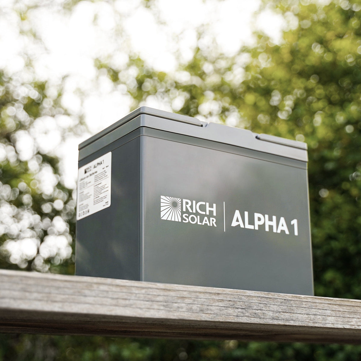 RICH SOLAR ALPHA 1 | 12V 100Ah LiFePO4 Battery | Powerful 12V Lithium Battery for RVs, Trailers, Vans, Boats, Off-Grid | 5,000 Lifetime Cycles | Bluetooth and Internal Heat Technology Batteries RICH SOLAR
