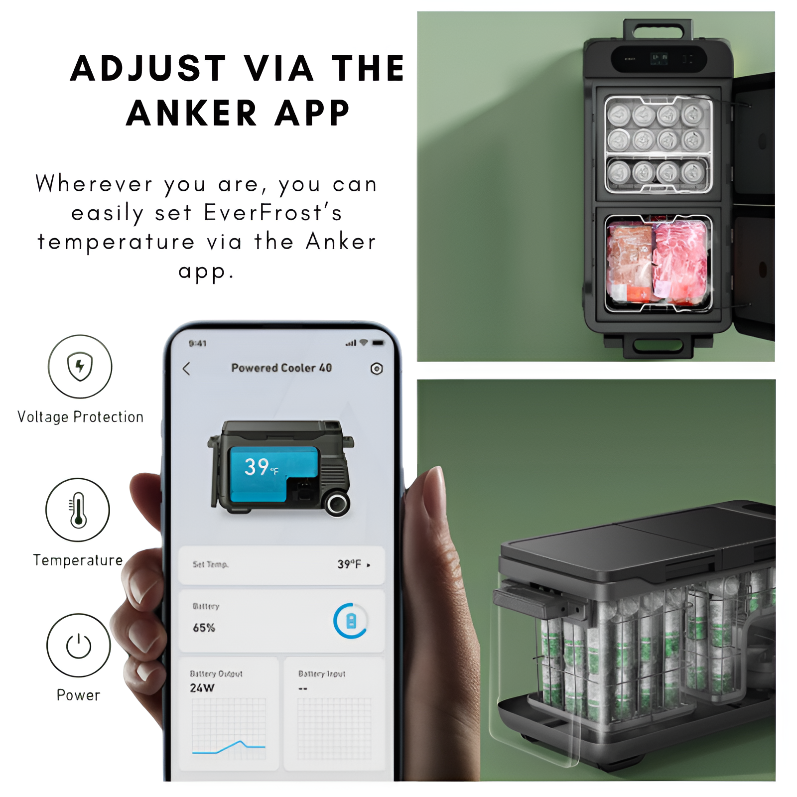 Anker EverFrost 50 Anker App