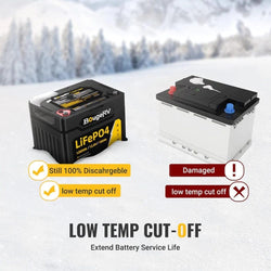 BougeRV 12V 1280Wh/100Ah LiFePO4 Battery Batteries BougeRV