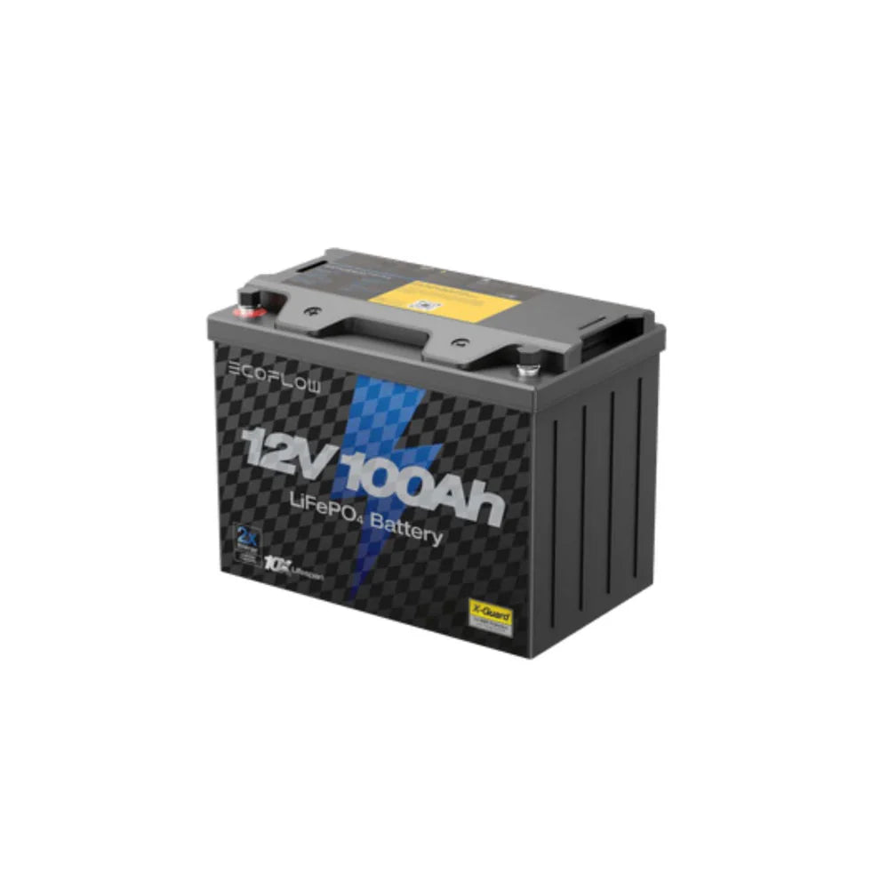 Ecoflow Lithium 12V 100Ah Deep Cycle LiFePO4 Battery Battery EcoFlow