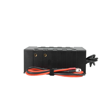 Lion Energy Savanna BC - 45A Battery Charger Battery Charge Controllers Lion Energy