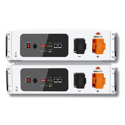 Sungold Power | 2X SGH48100T Server Rack 48V 100Ah Lithium Battery Self-Heating