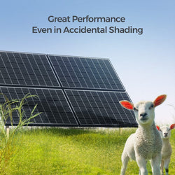 Renogy 320 Watt Monocrystalline Solar Panels Solar Panels Renogy