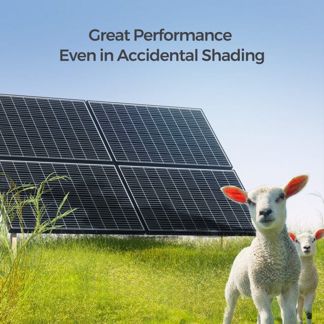 Renogy 320 Watt Monocrystalline Solar Panels Solar Panels Renogy