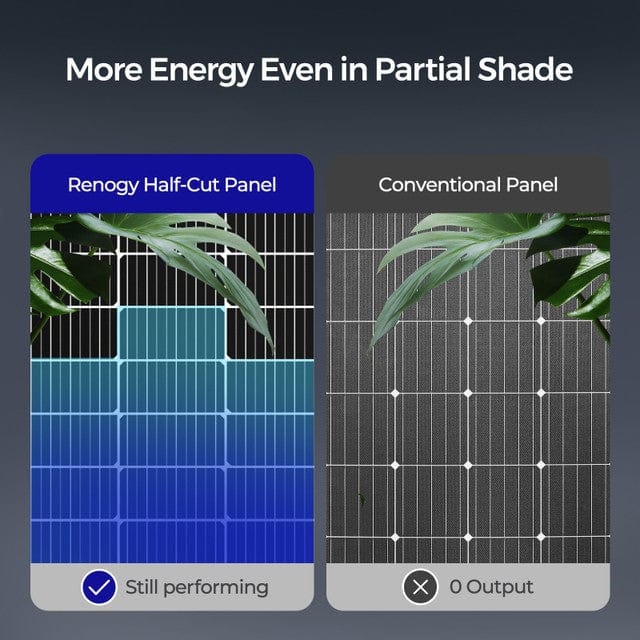 Renogy Bifacial 220 Watt 12 Volt Monocrystalline Solar Panel Solar Panels Renogy
