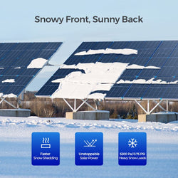 Renogy Bifacial 220 Watt 12 Volt Monocrystalline Solar Panel Solar Panels Renogy