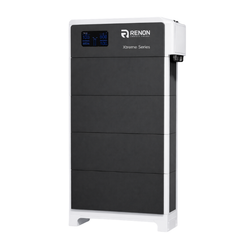 Renon Power Battery Controller (BCU), 300 Amp (Xtreme LV Series)