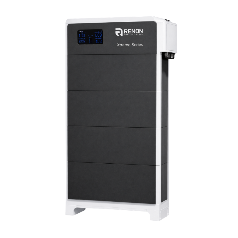 Renon Power Battery Controller (BCU), 300 Amp (Xtreme LV Series)