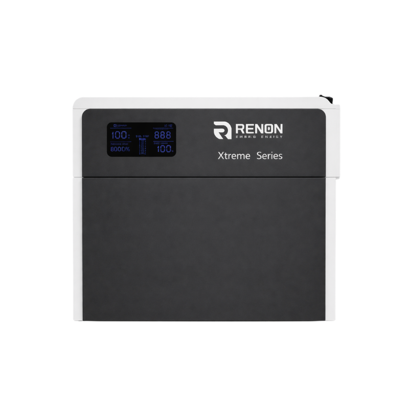 Renon Power Battery Controller (BCU), 300 Amp (Xtreme LV Series)