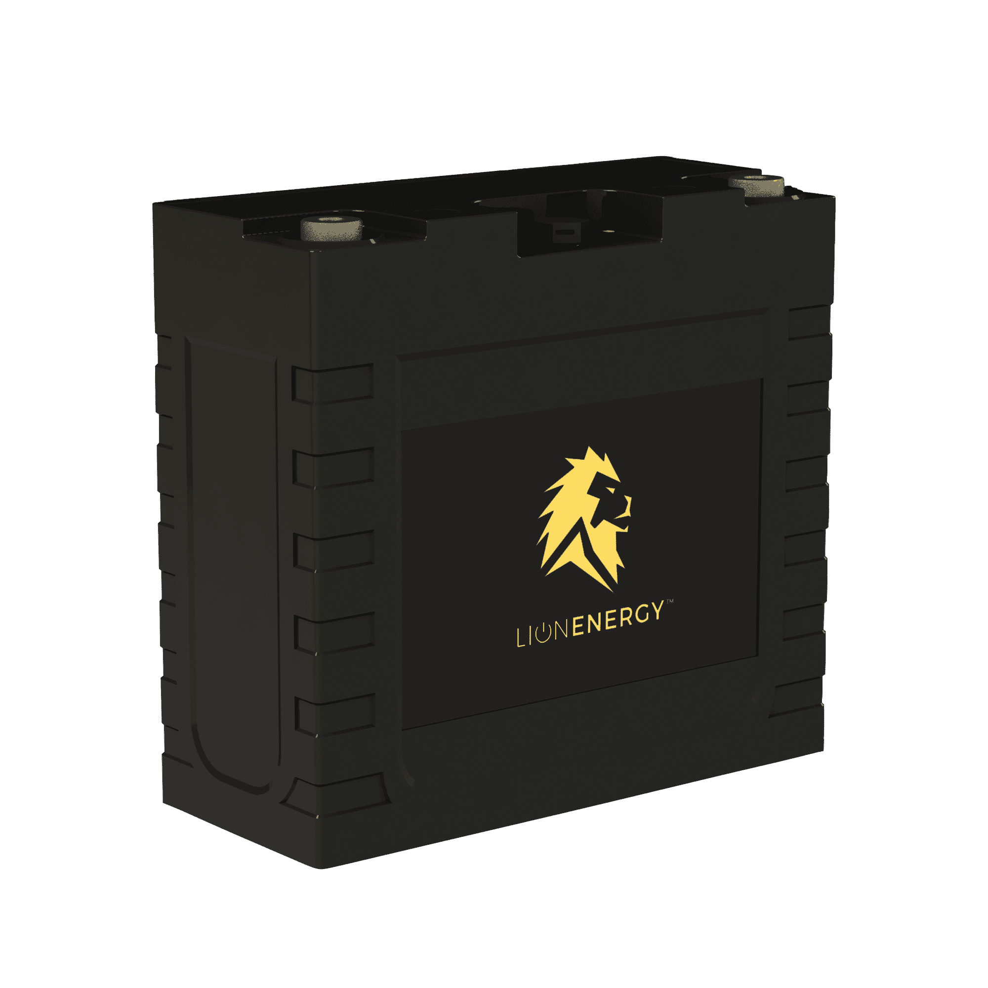 Lion Energy UT 250 Battery (12V, 20Ah, LiFePO4)