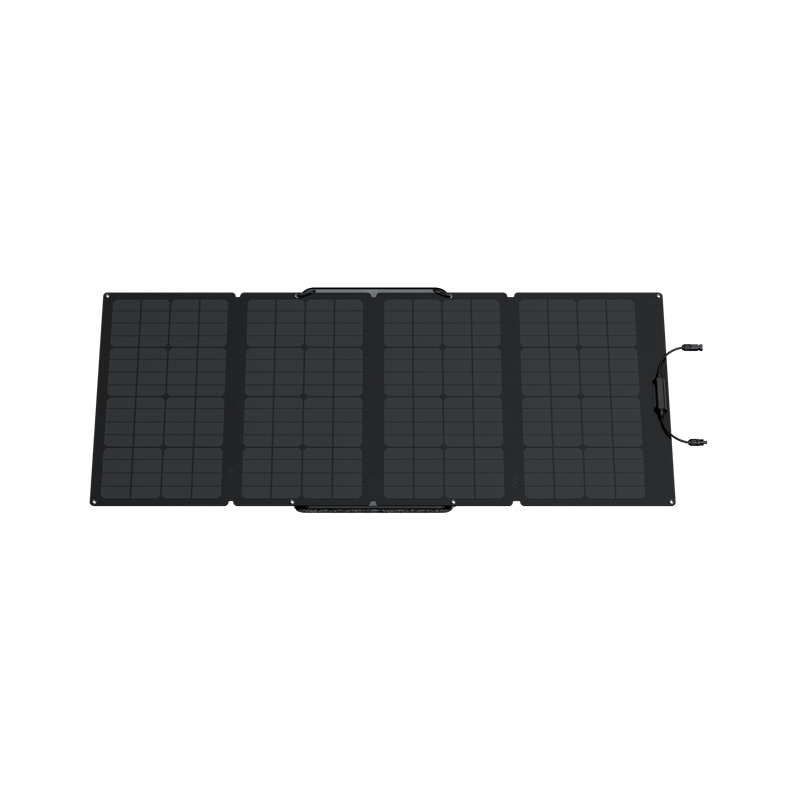 EcoFlow 160W Portable Solar Panel On Stand