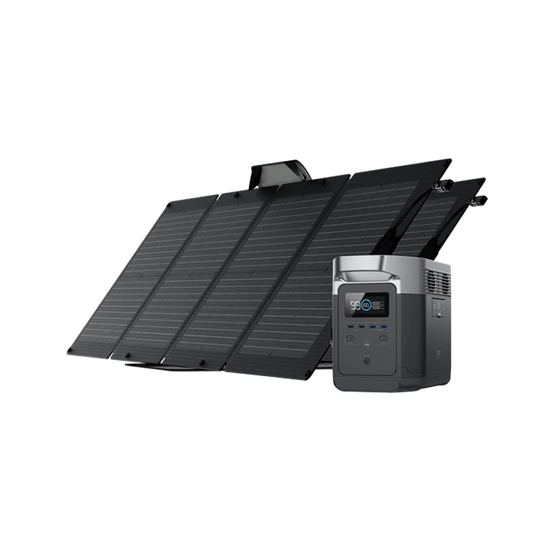 EcoFlow DELTA 1000 Portable Power Station Solar Generator + 2x 110W Solar Panel