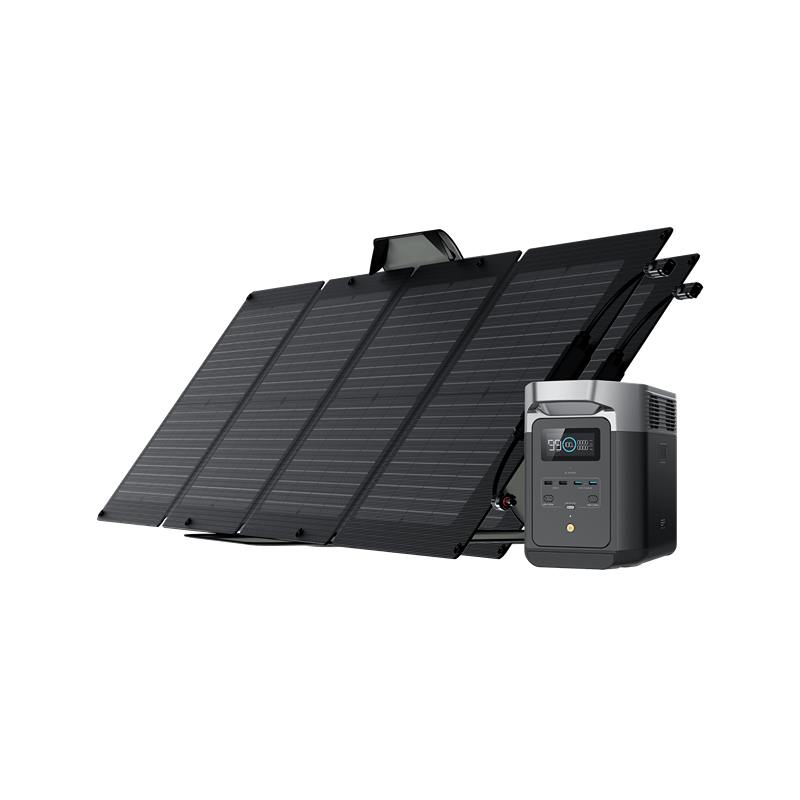 EcoFlow DELTA 2 Portable Power Station Solar Generator + 2x 110W Solar Panel