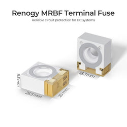 Renogy MRBF Terminal Fuses Fuse Blocks & Fuses Renogy